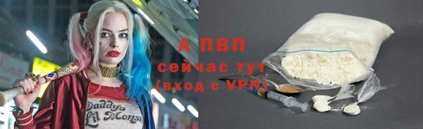 прущие грибы Медногорск
