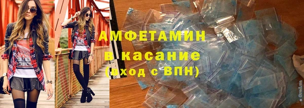 прущие грибы Медногорск