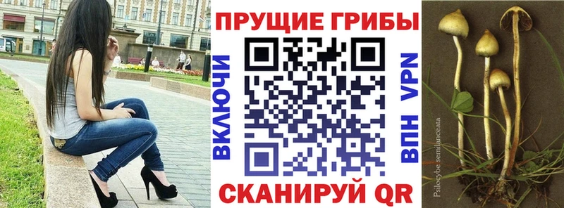 Псилоцибиновые грибы Magic Shrooms Среднеколымск